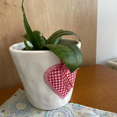 Kwatera prywatna Jaskolka *