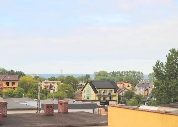 Jaskolka Władysławowo