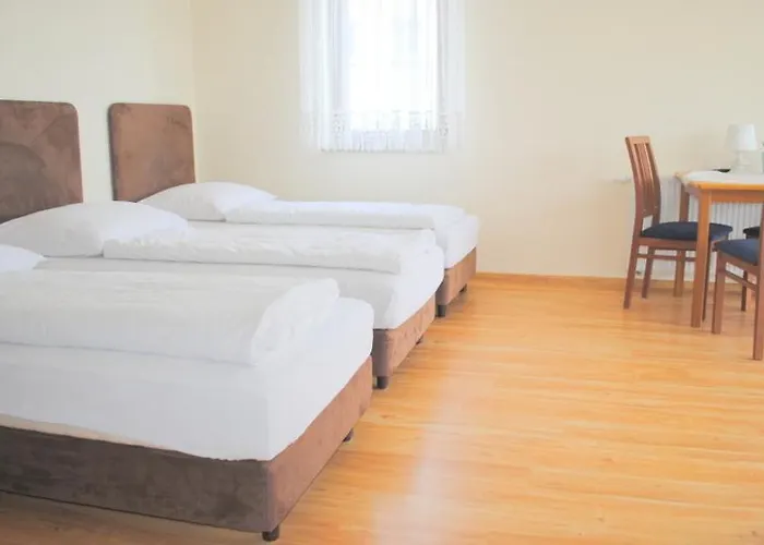 Jaskolka Władysławowo